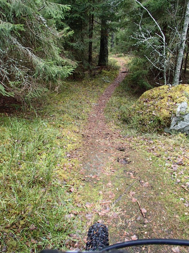 PB010033.JPG