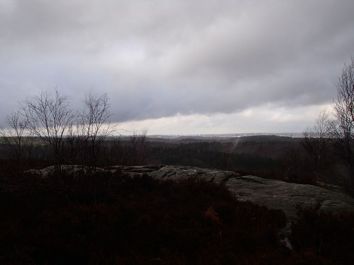 PB030126.JPG