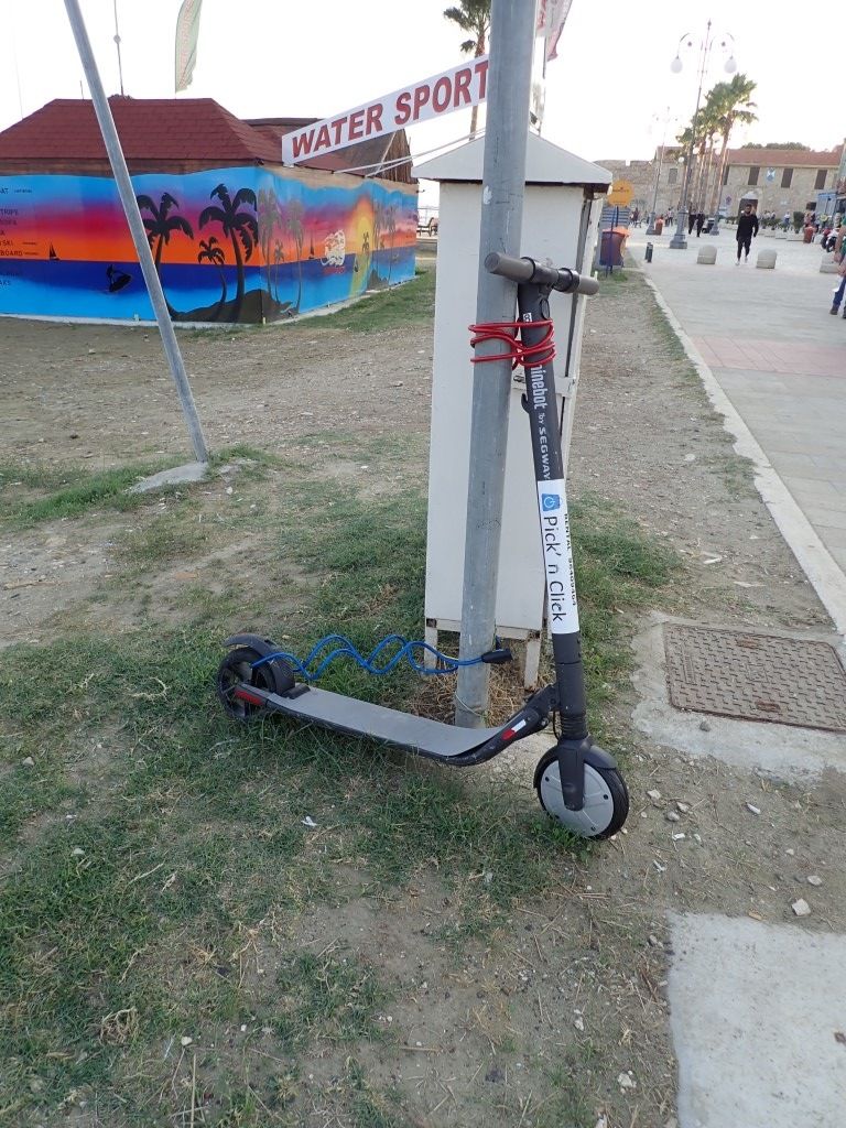 PB161655Medium.jpeg