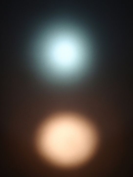 PB260002.JPG ht=725