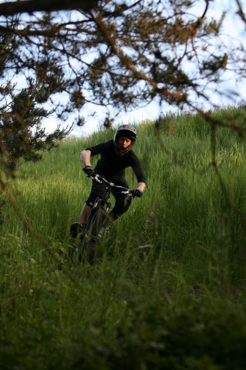 pbpic3576193.jpg ht=725