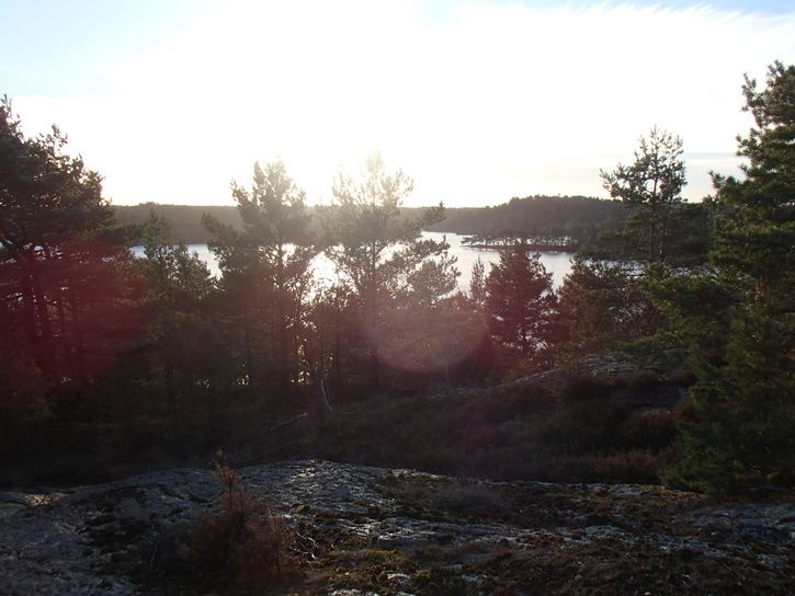 PC010021.JPG