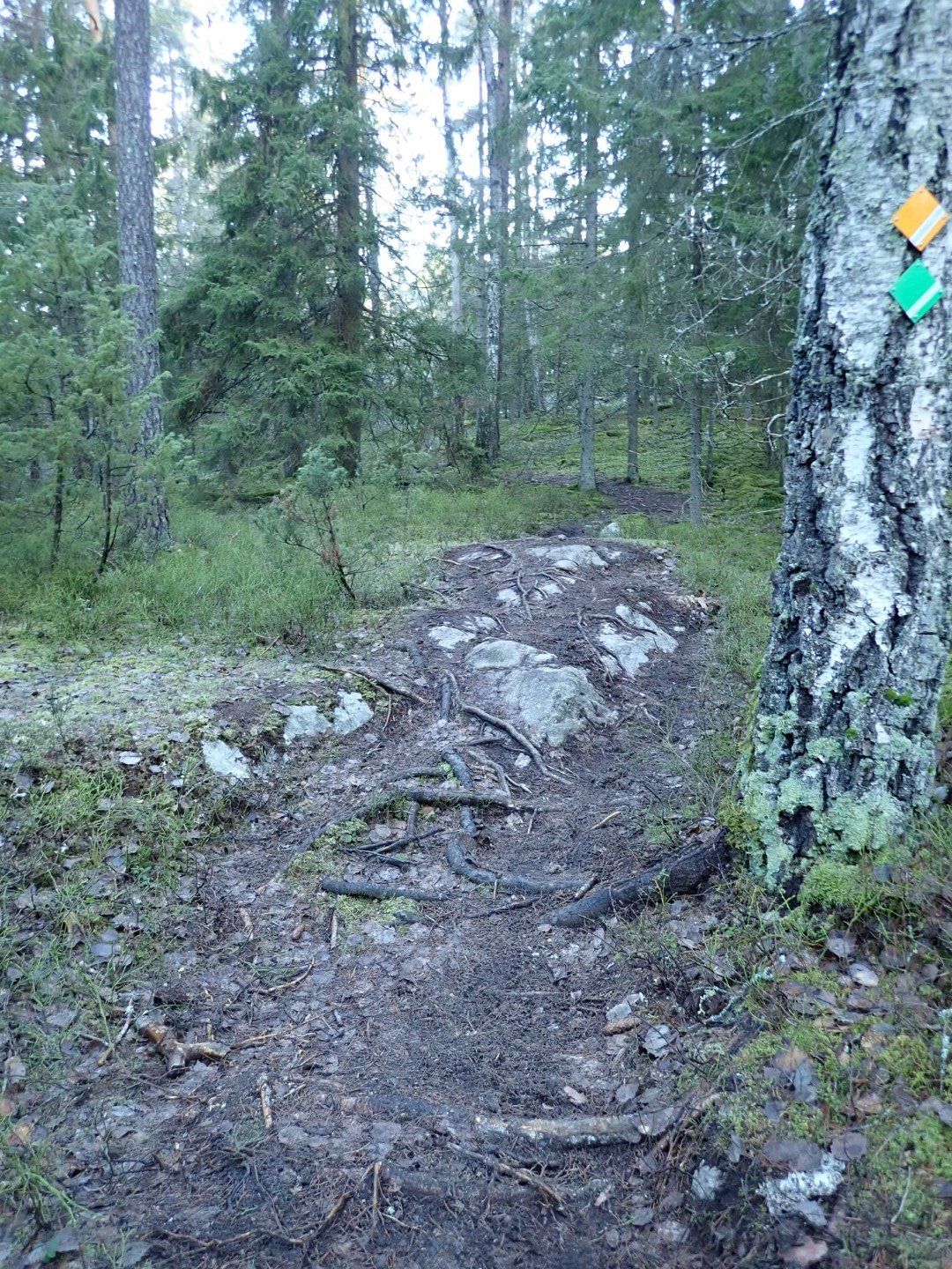 PC244445 (Large).jpeg