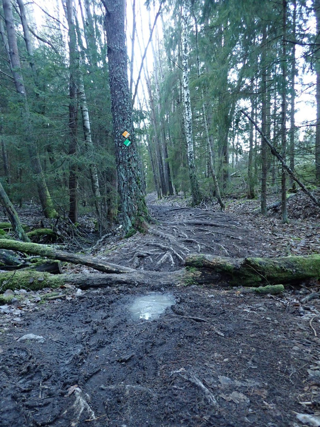 PC244453 (Large).jpeg