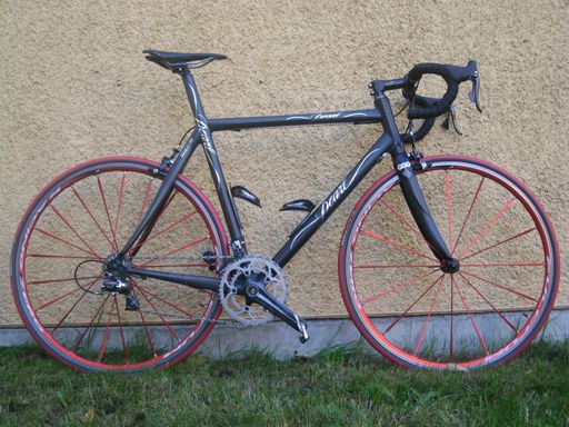 pearl1_small.jpg ht=384