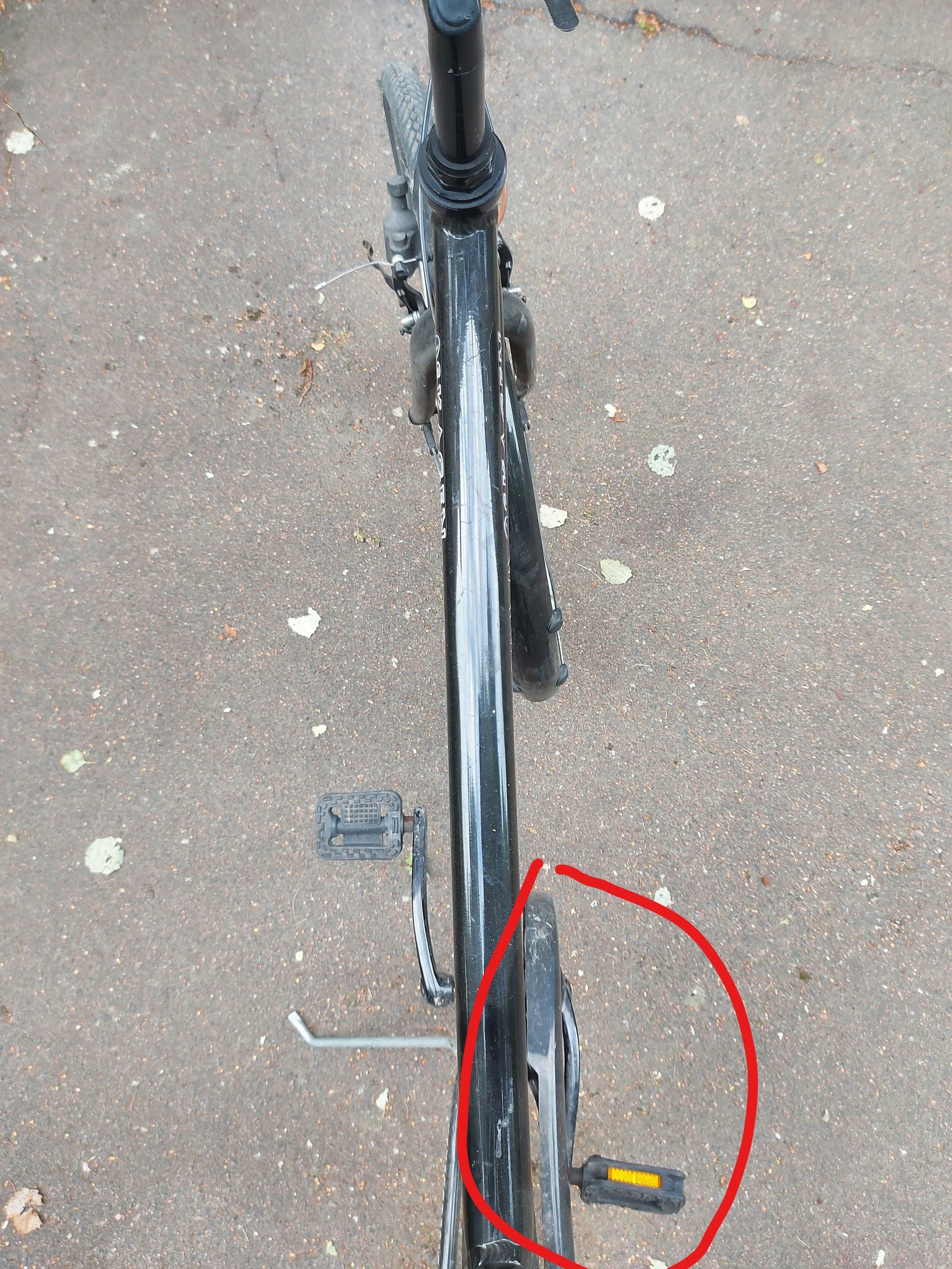 pedal.jpg