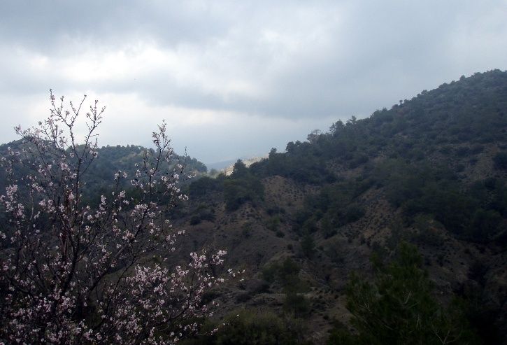 PeekHidden.jpg ht=493