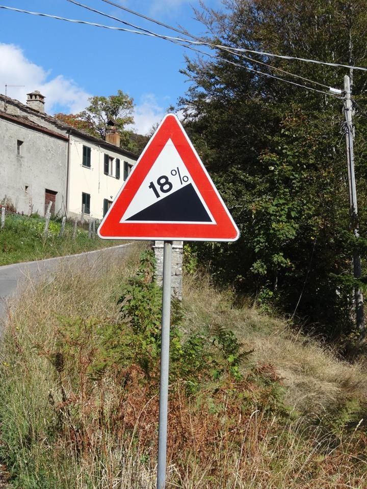 pelle5.jpg