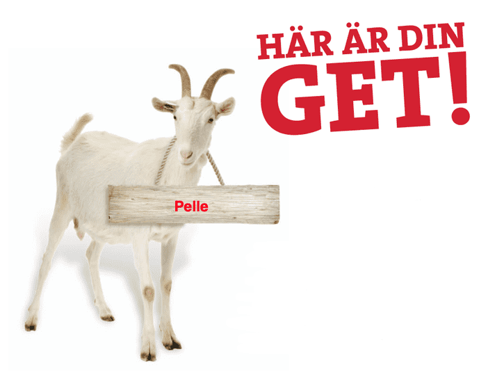 PelletheGoat.png
