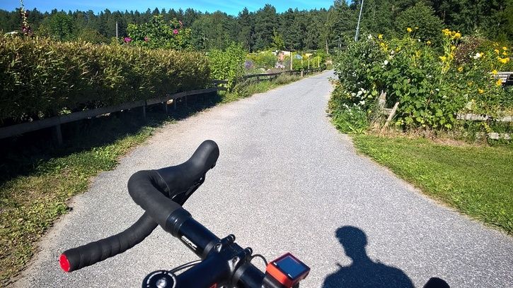 Pendelvg5_Hgerns_stn2.jpg