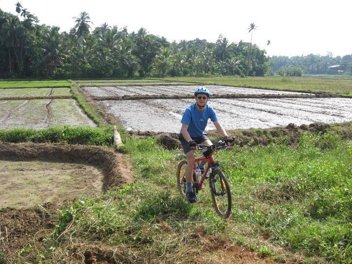 Perpaddyfield.jpg ht=544