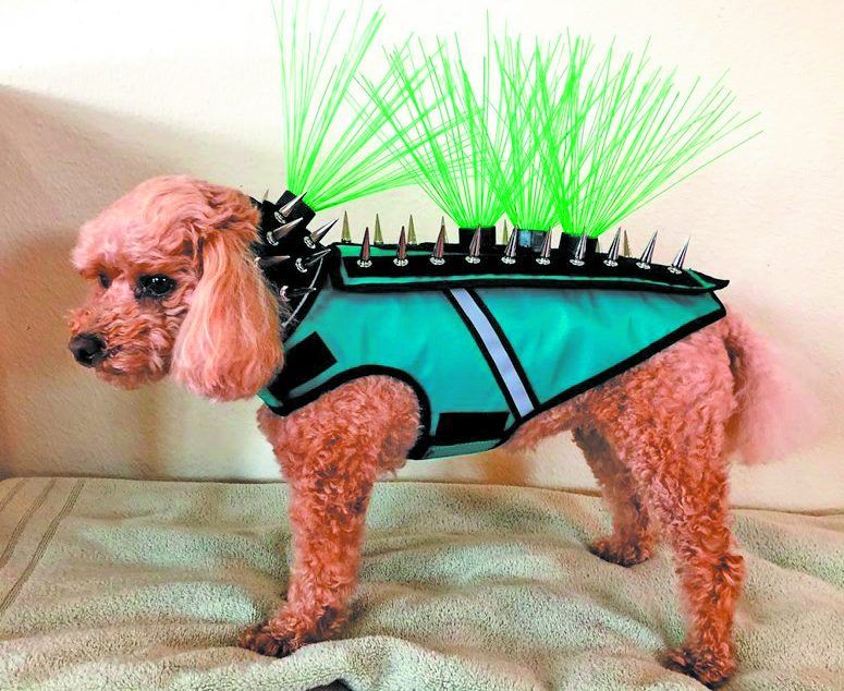 PetPage-HawkShield-Coyote-vest-e1527885645895.jpg