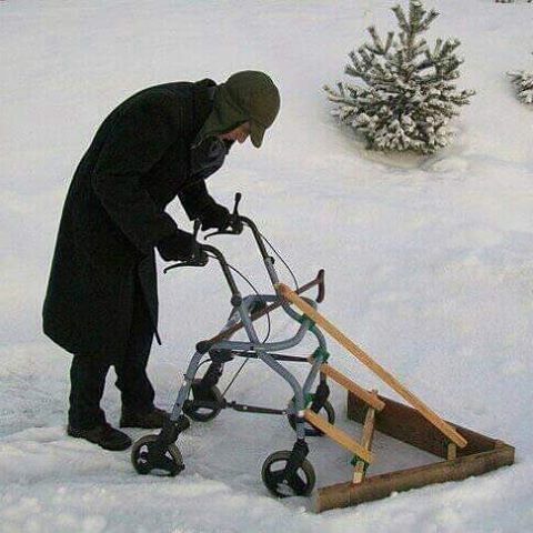 PettsonampFindusrollator.jpg