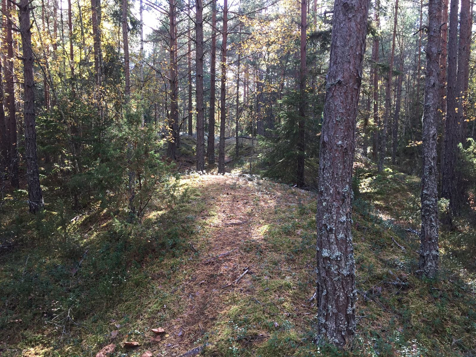 Photo2016-10-03132706.jpg