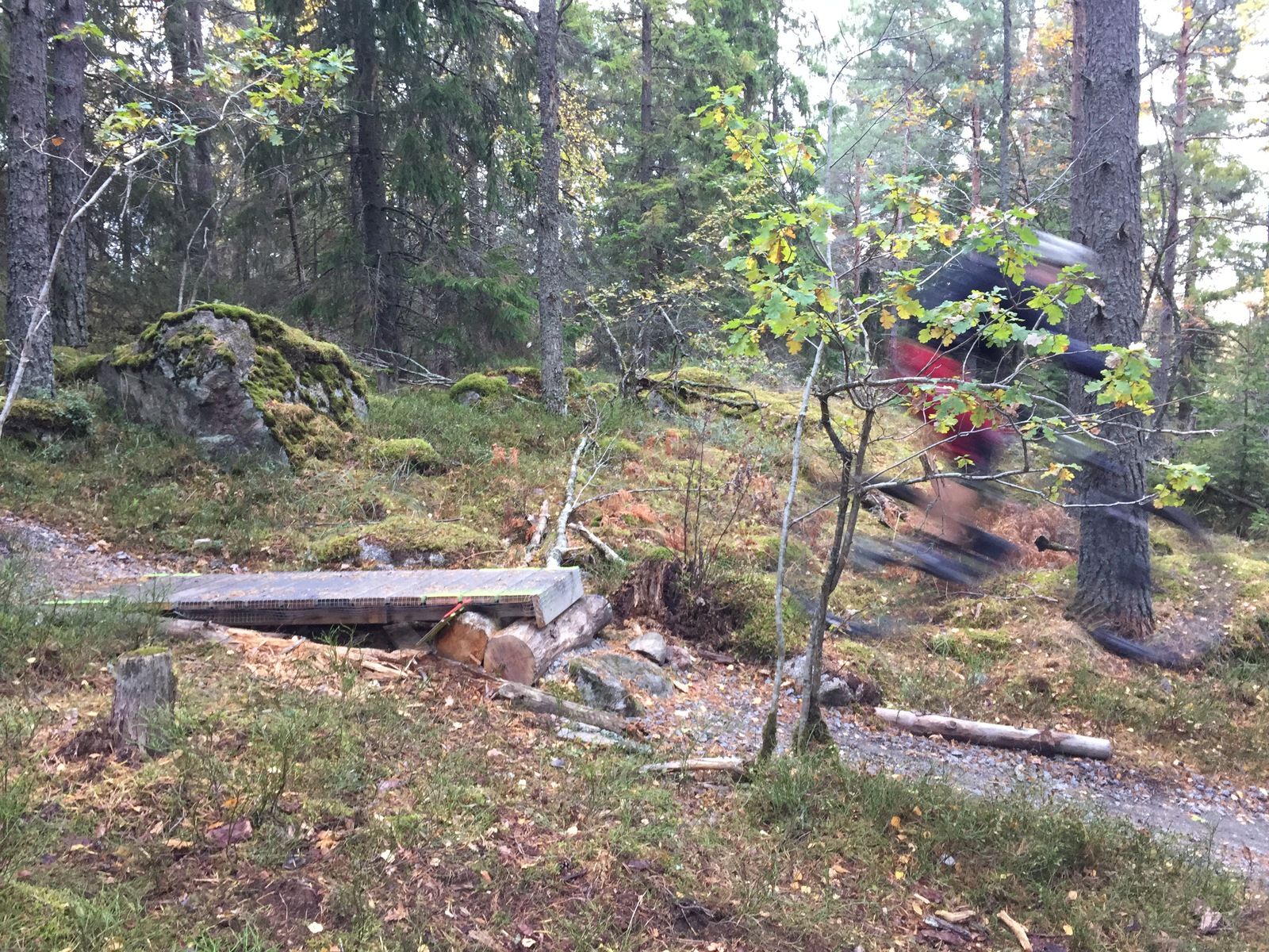 Photo2016-10-09155523.jpg