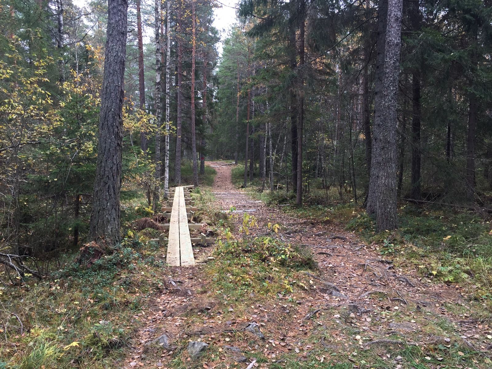 Photo2016-10-18125138.jpg