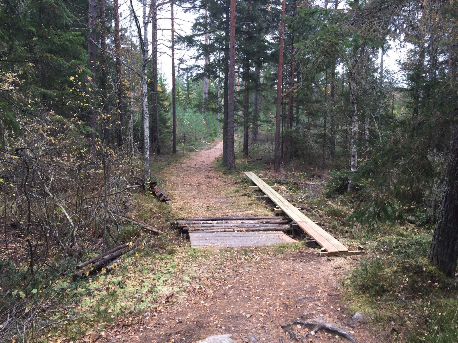 Photo2016-10-18125238.jpg