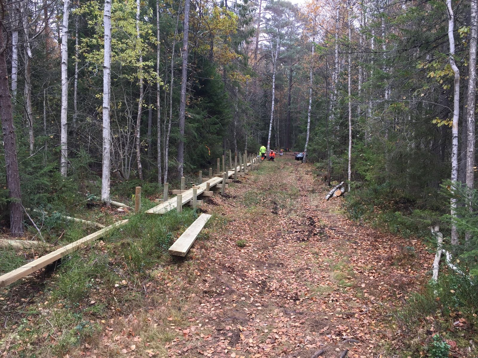 Photo2016-10-18125407.jpg