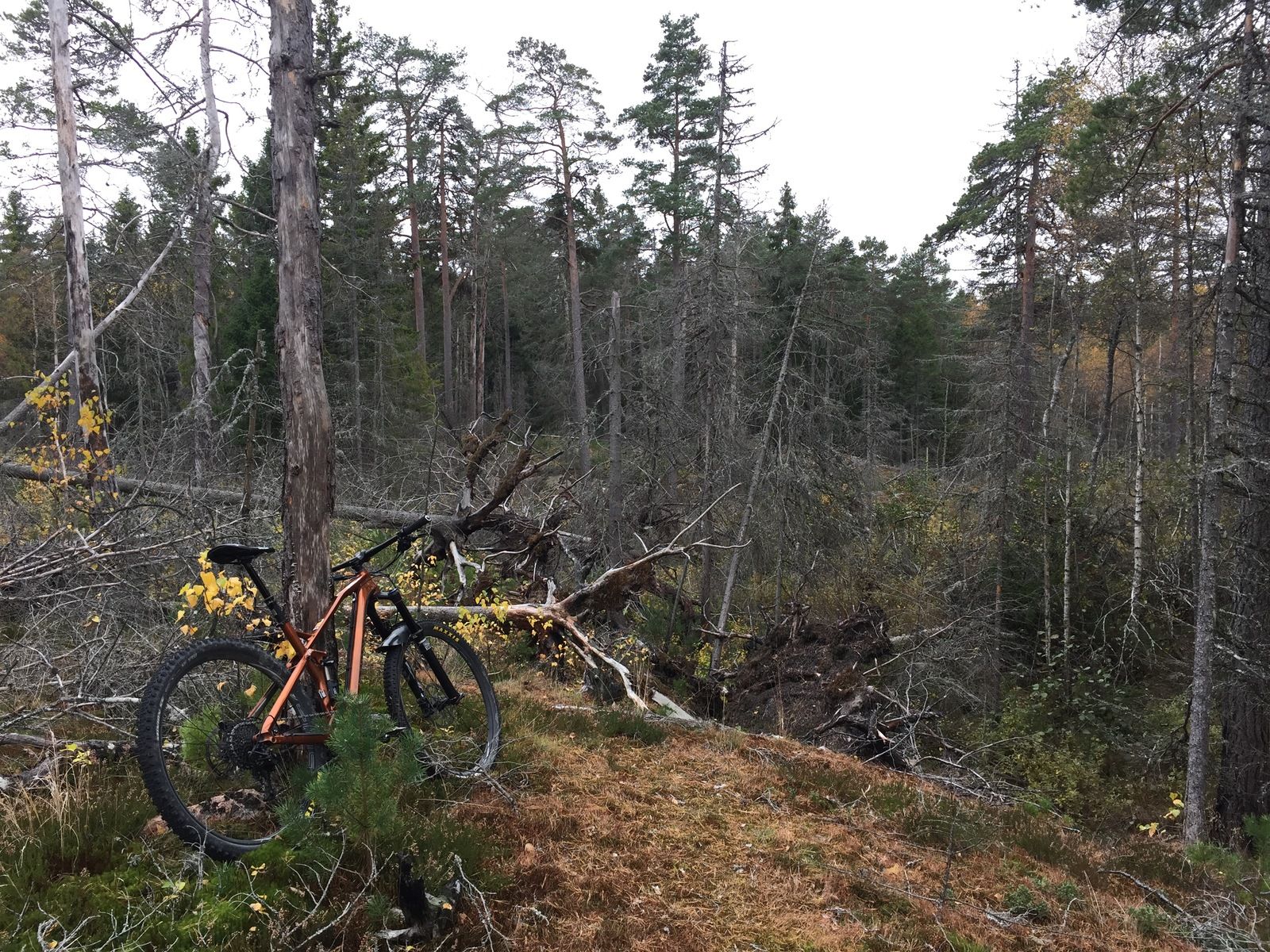 Photo2016-10-18130200.jpg