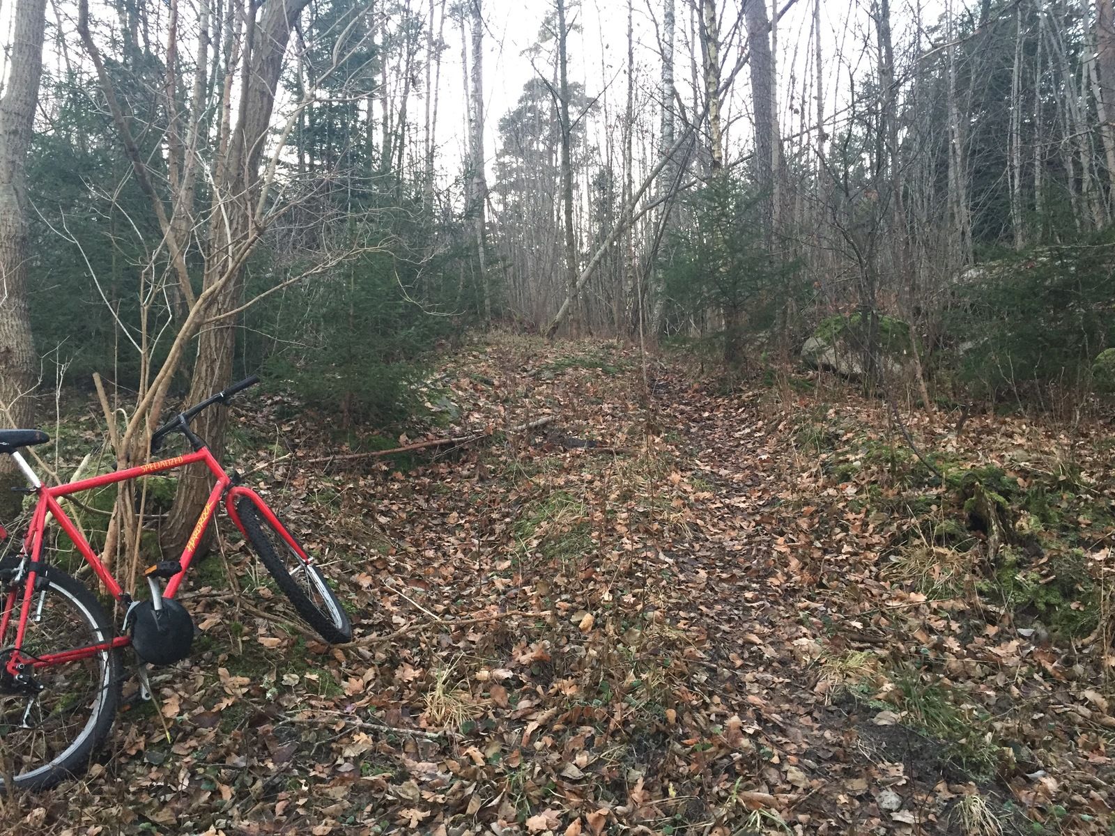 Photo2016-12-28151909.jpg