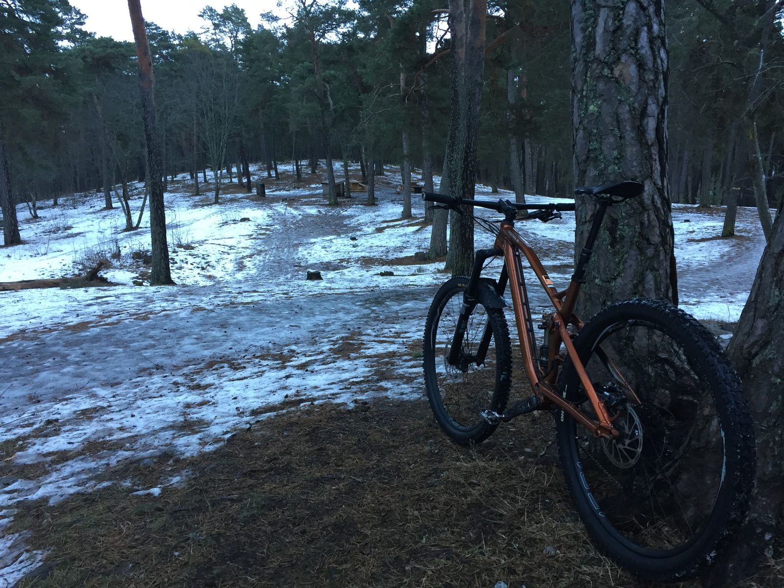Photo2017-01-12142013.jpg