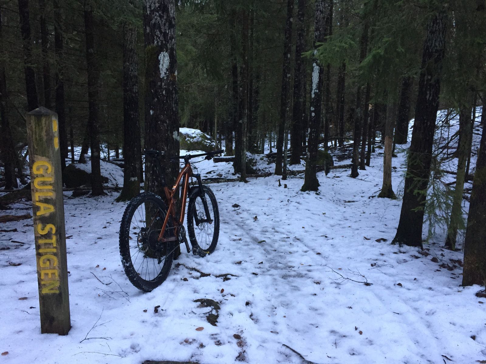 Photo2017-01-12144413.jpg