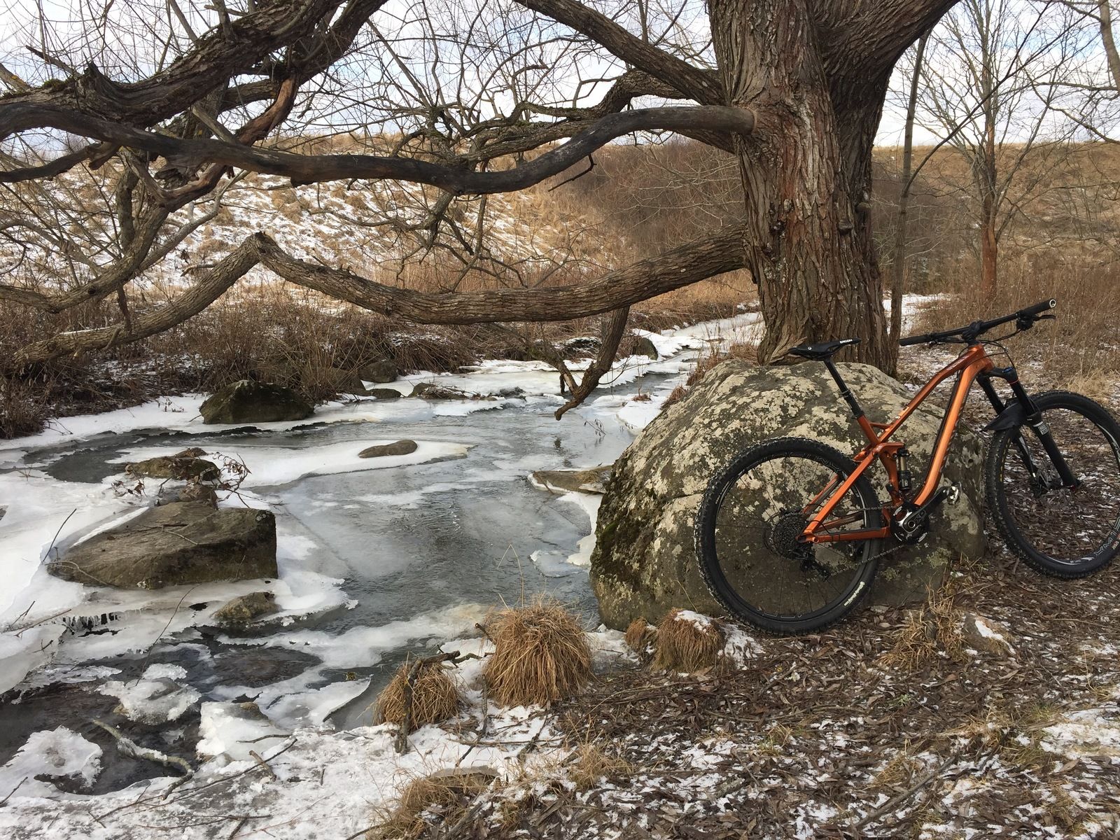 Photo2017-02-09113811.jpg