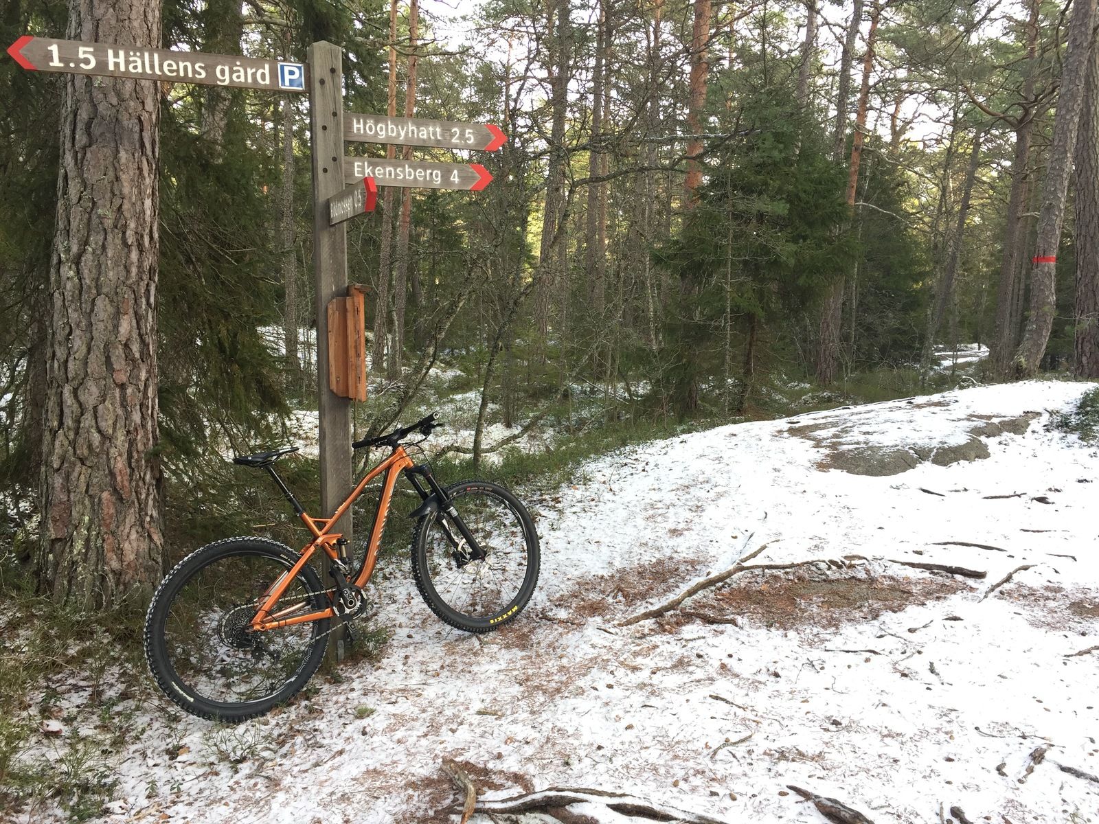 Photo2017-02-09124754.jpg