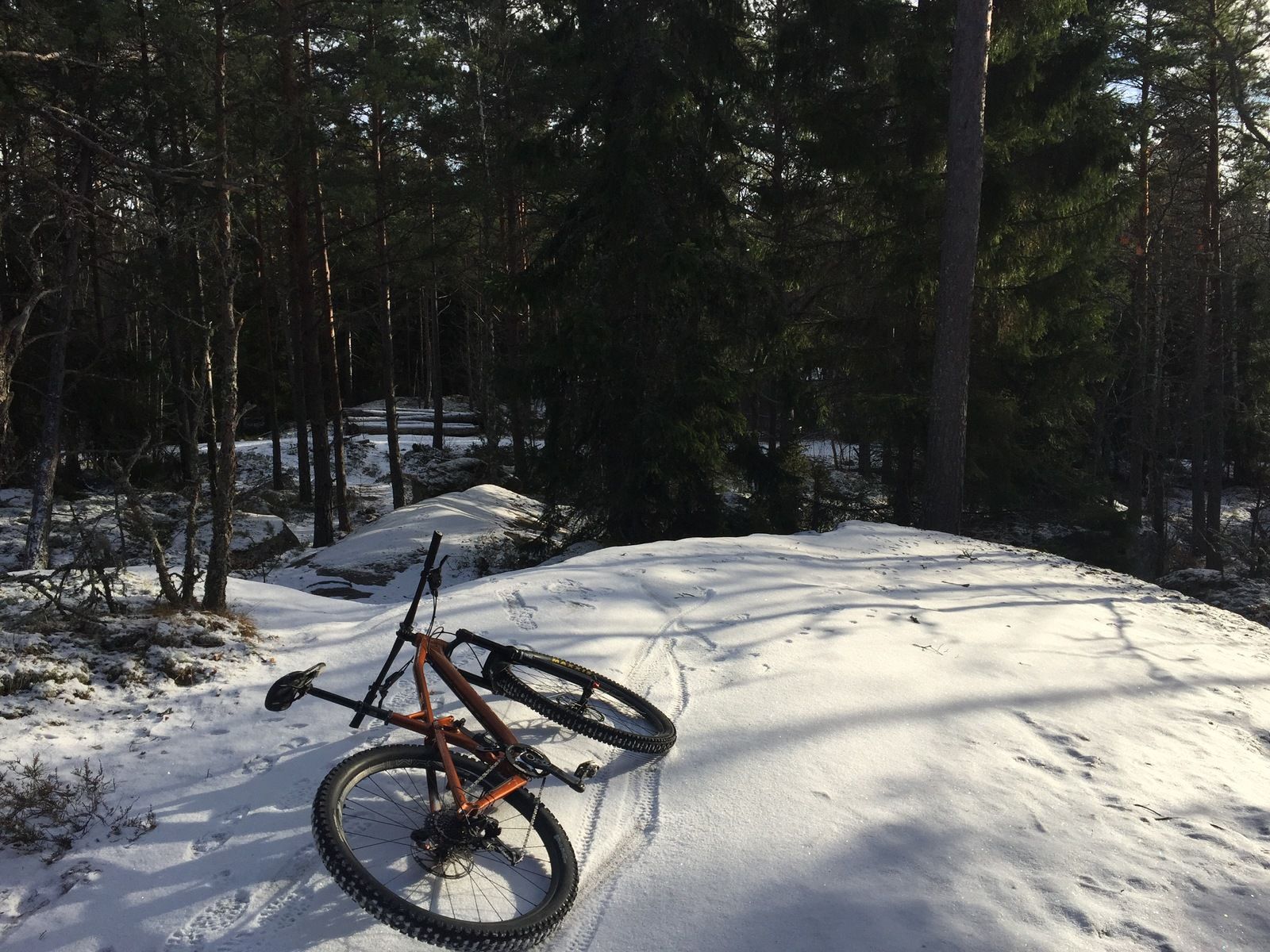 Photo2017-02-09130010.jpg