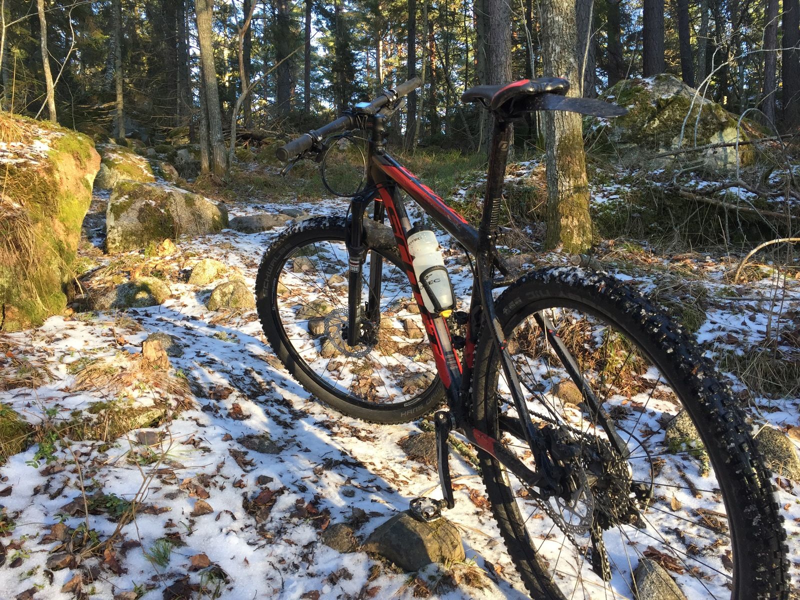 Photo2017-02-14151641.jpg