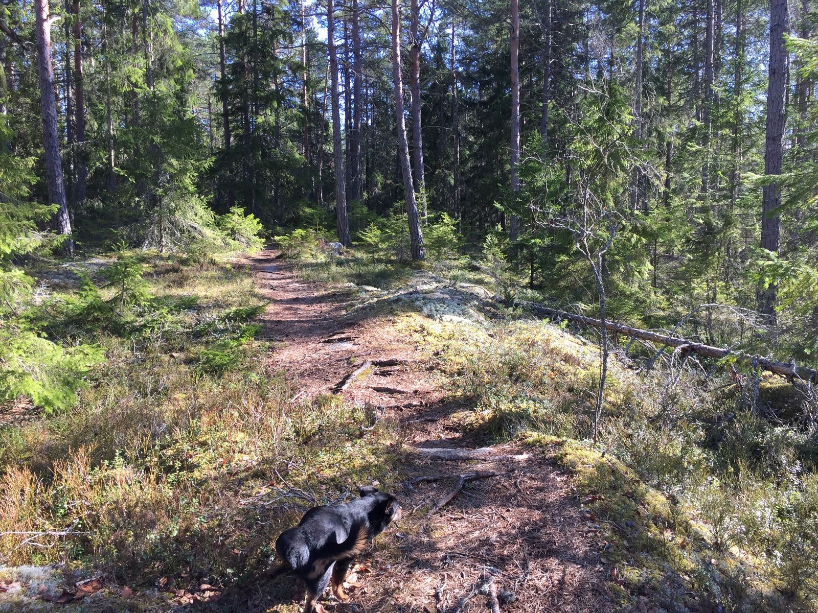 Photo2017-03-27144427.jpg