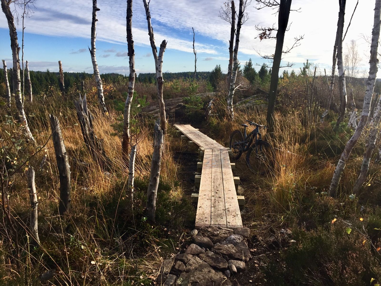 Photo2018-10-20145457.jpg