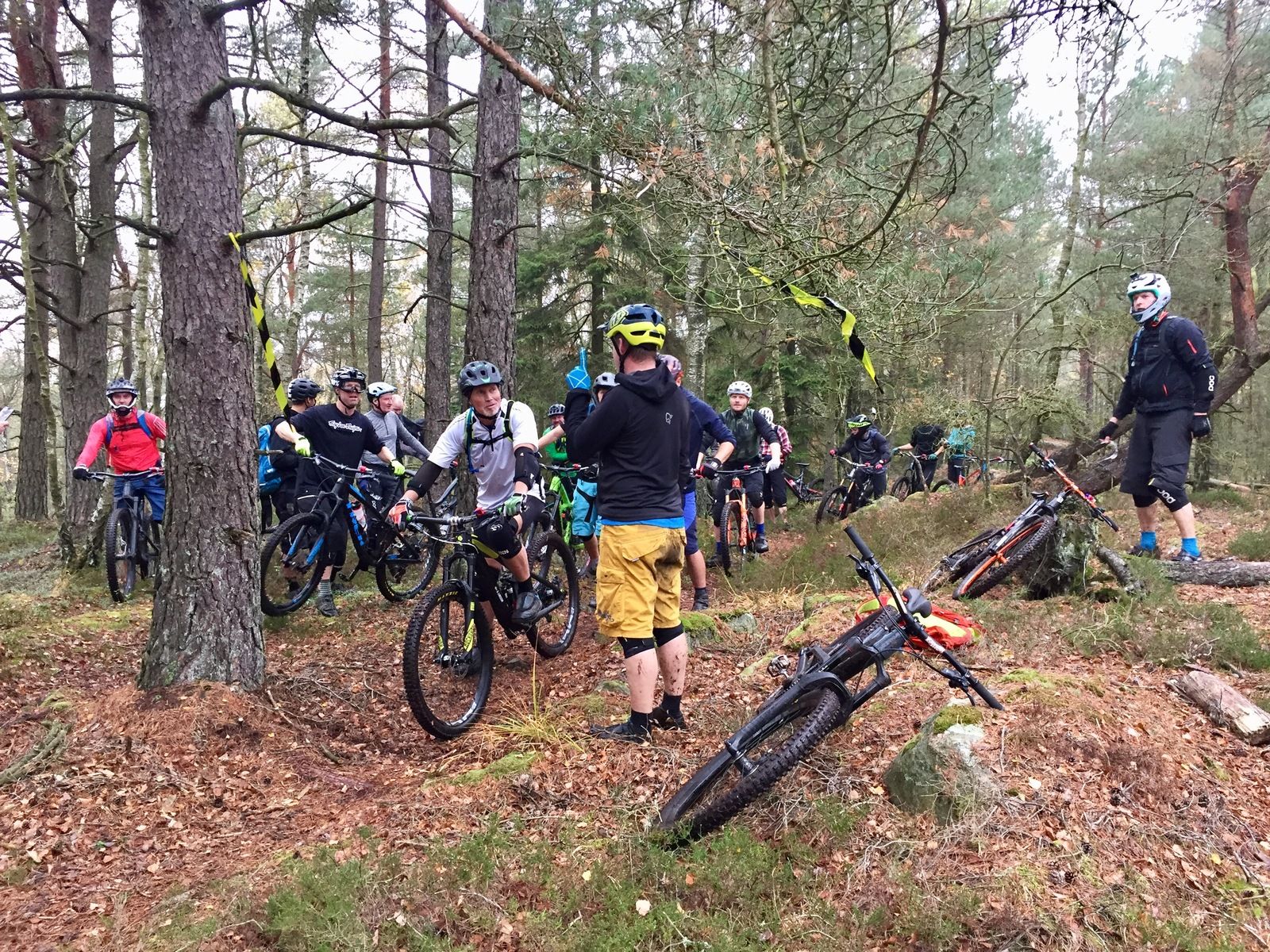 Photo2018-10-21120519.jpg