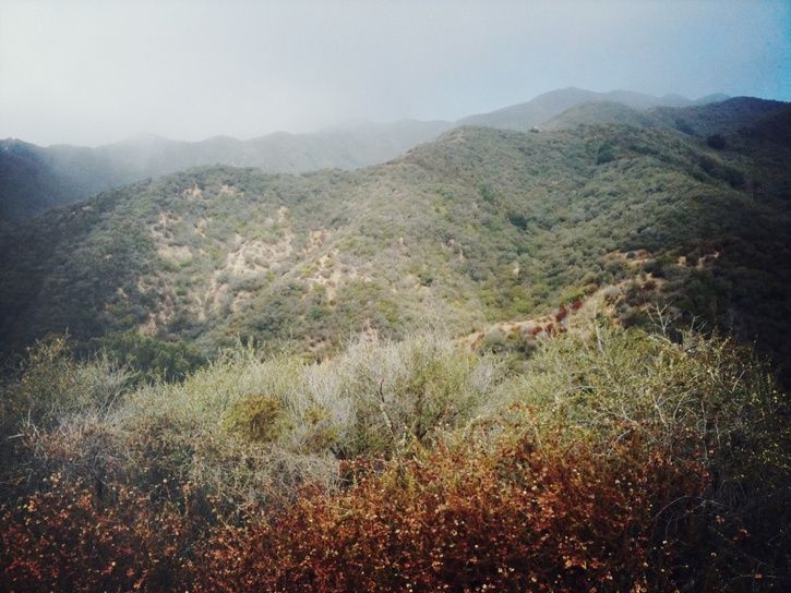 photo3.JPG