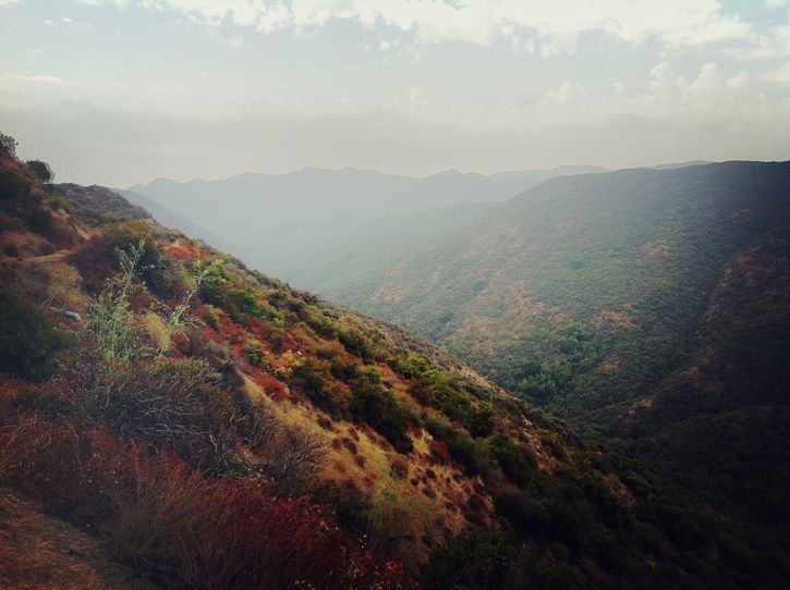 photo3.JPG