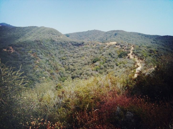 photo4.JPG