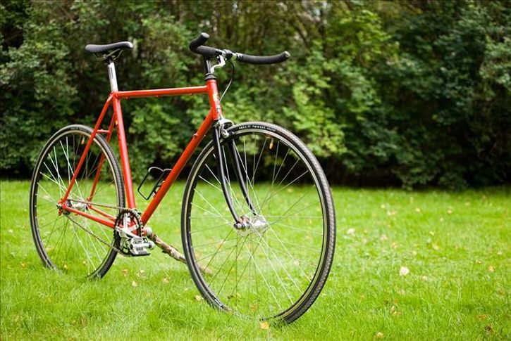 photo.aspx.jpg ht=485