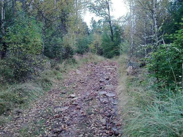 photo.jpg ht=480
