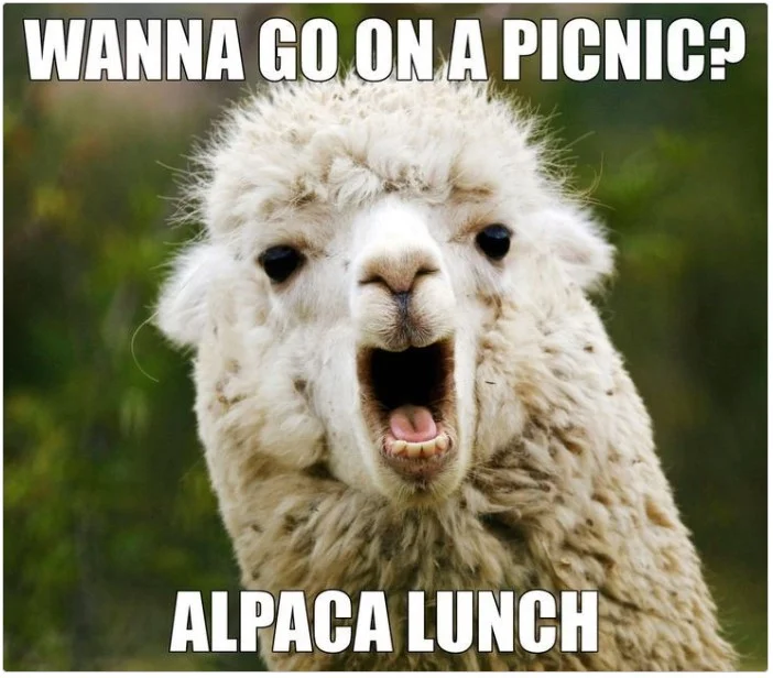 picnic.webp