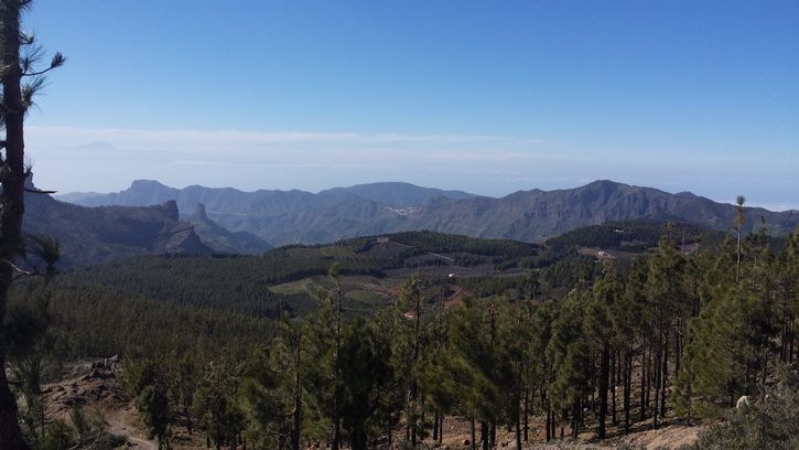 Pico1.jpg