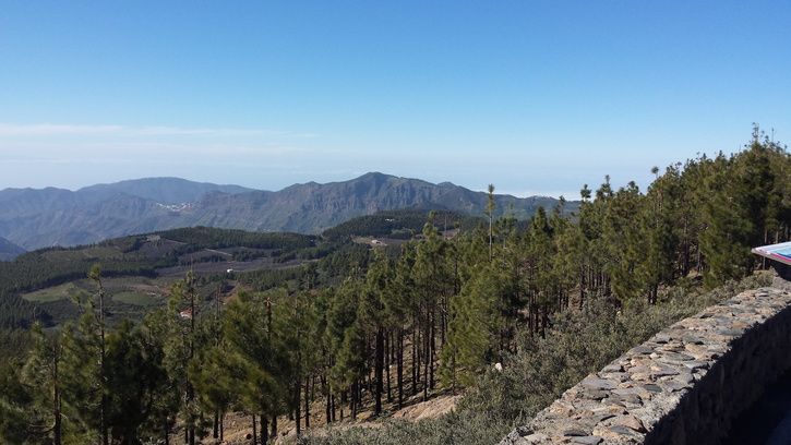 Pico2.jpg