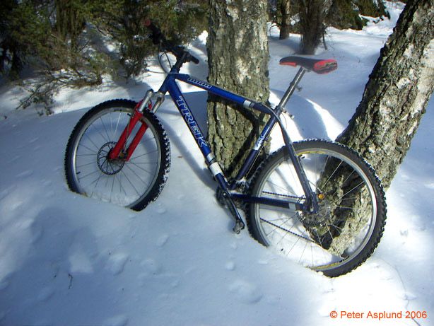 PICT0002.jpg