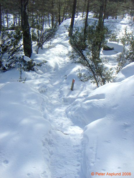 PICT0003.jpg