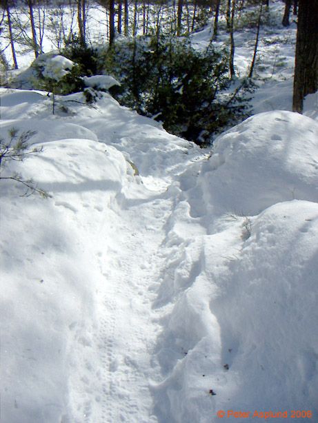 PICT0004.jpg