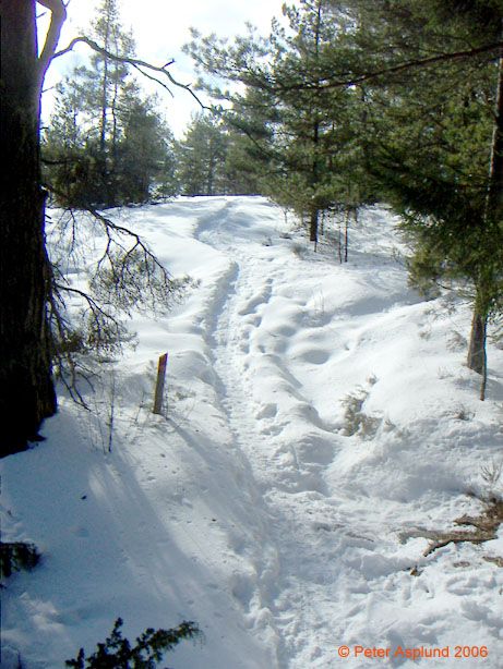 PICT0005.jpg