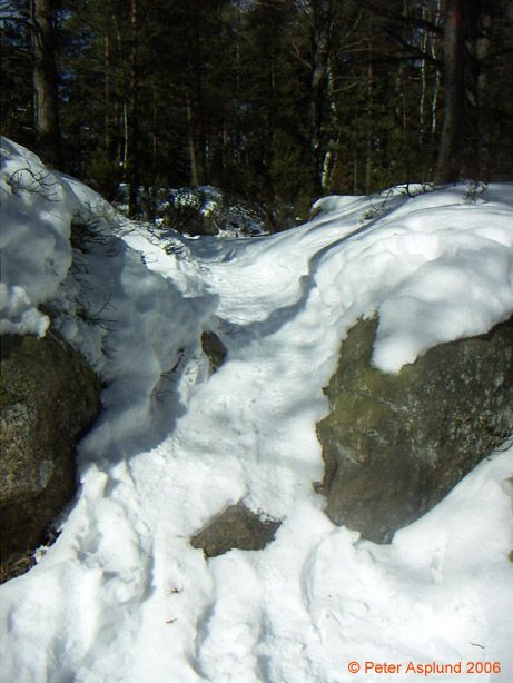 PICT0006.jpg