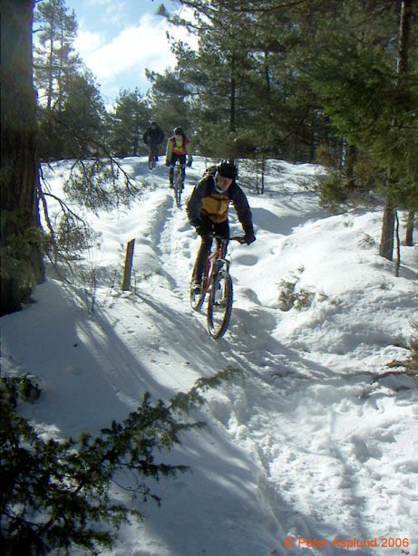 PICT0007.jpg