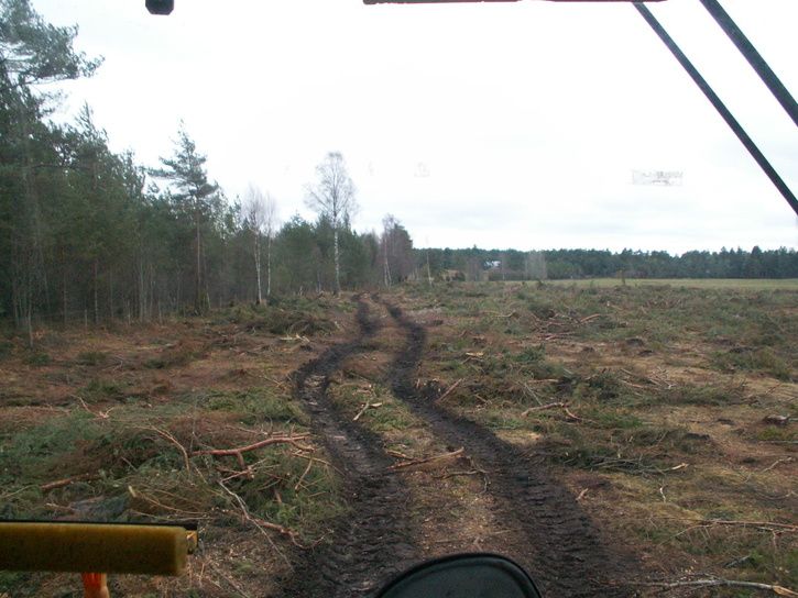PICT0007.JPG ht=544