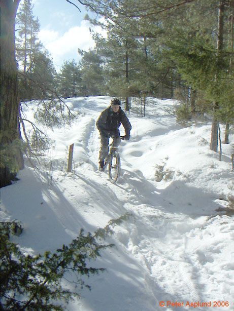 PICT0008.jpg