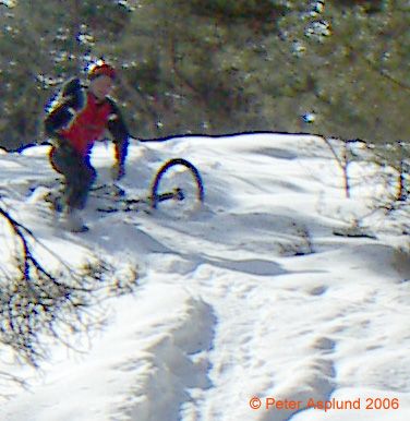 PICT0011.jpg